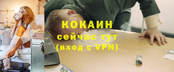 тгк Богданович